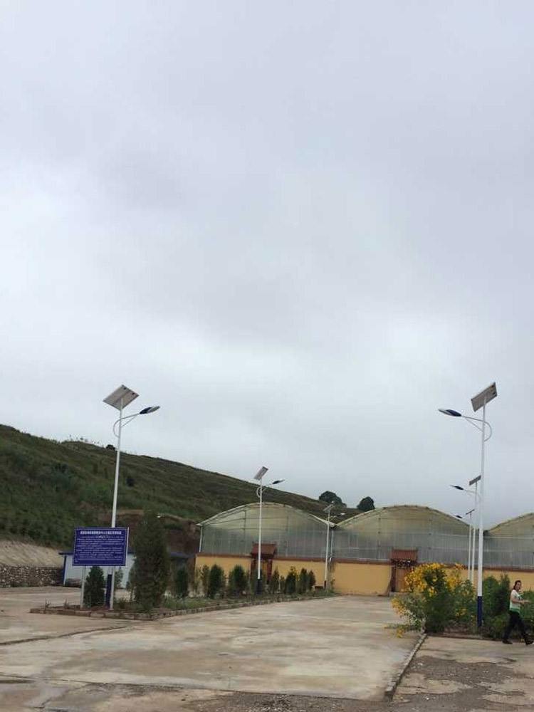 農村太陽能路燈 農村太陽能路燈