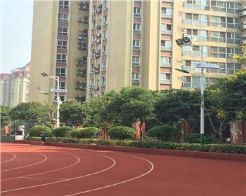 學(xué)校路燈改造-陜西省西安高新一中路燈項(xiàng)目